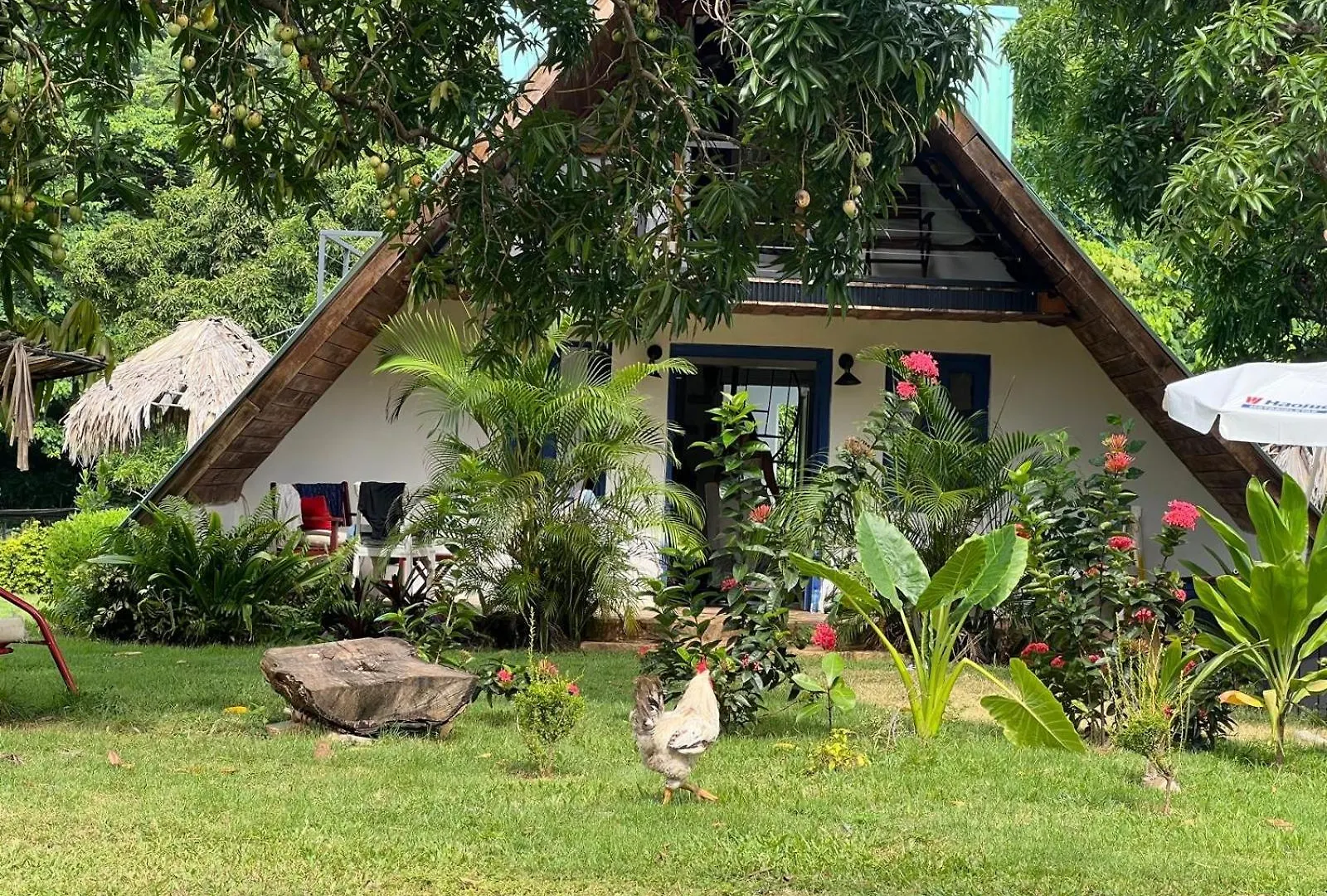 Dreamvilles Ecovillage Las Galeras Dominikánská republika