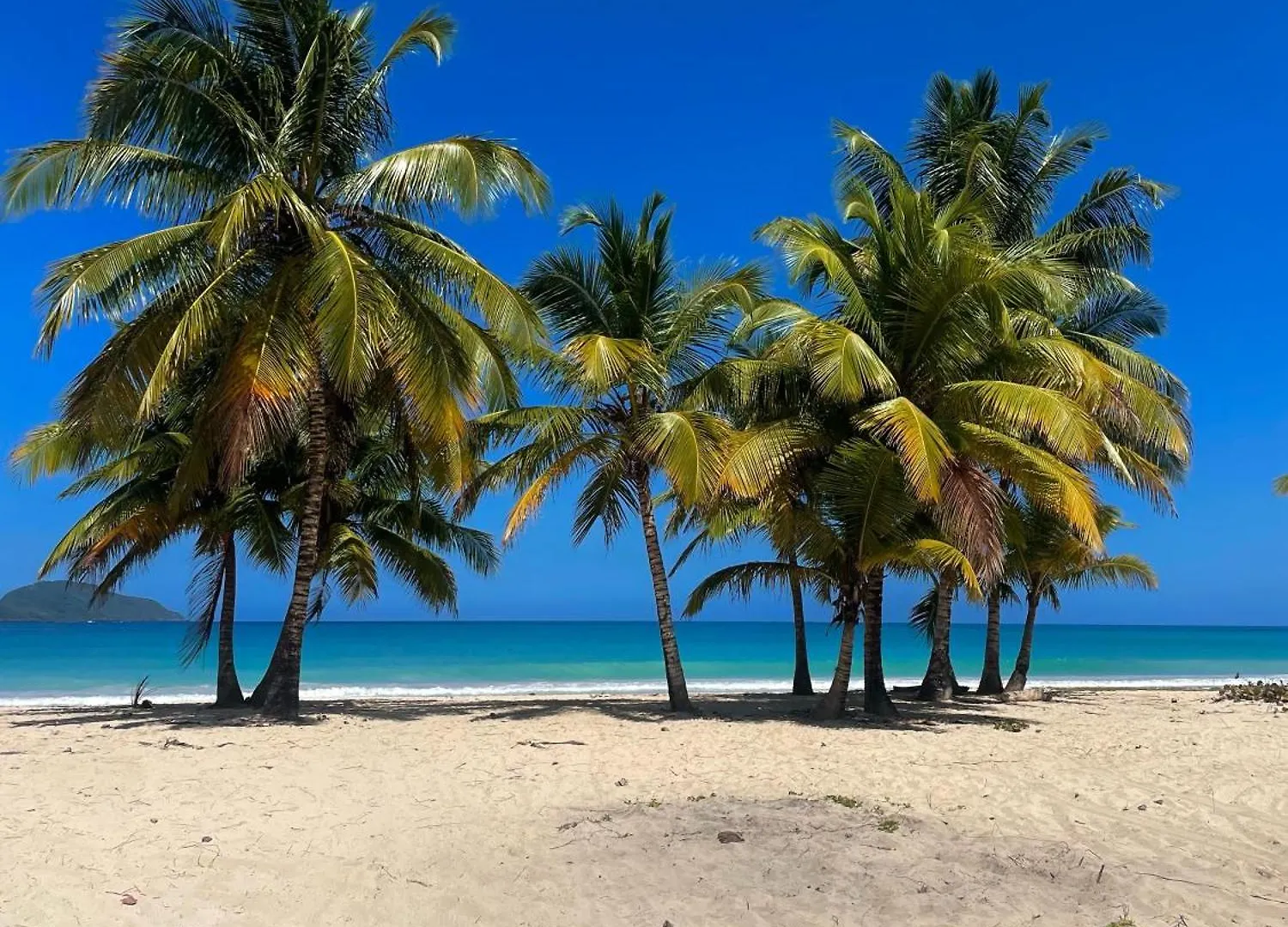 Dreamvilles Ecovillage Las Galeras