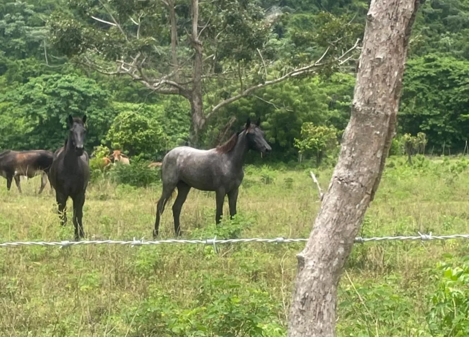 Vila Dreamvilles Ecovillage Las Galeras